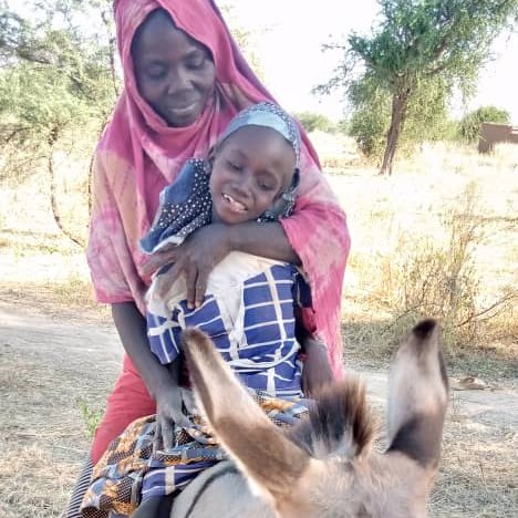 Mother and daughter on the donkey ( 2 years ago)