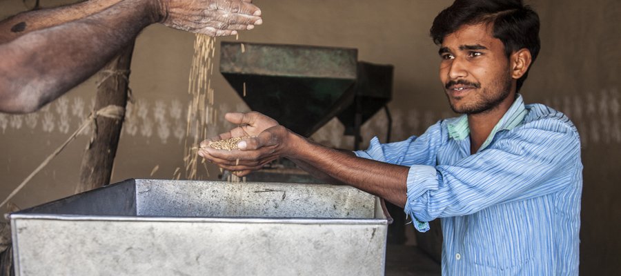 Anuj works in agriculture thanks to support from TLM