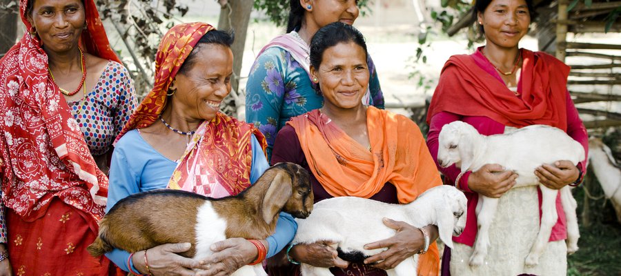 A self-help group in Nepal who are earning money through goat farming