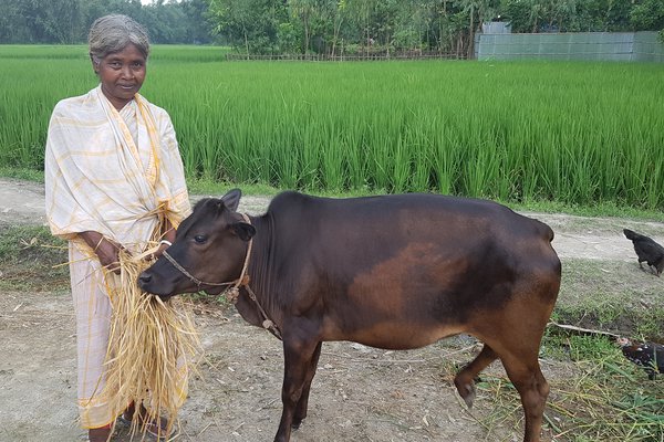 Rajo with a cow she bought with a grant from the NUPIP Project