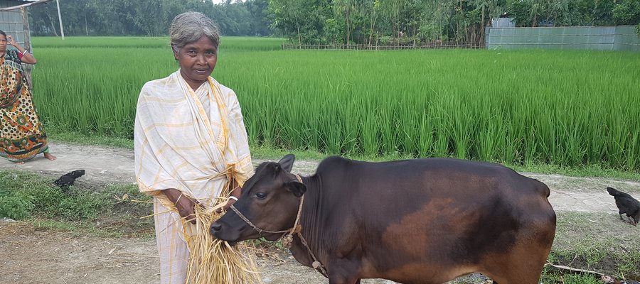 Rajo with a cow she bought with a grant from the NUPIP Project