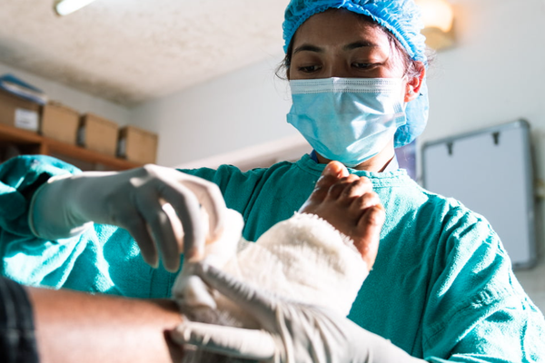 A doctor looking at an ulcer on someone's foot.