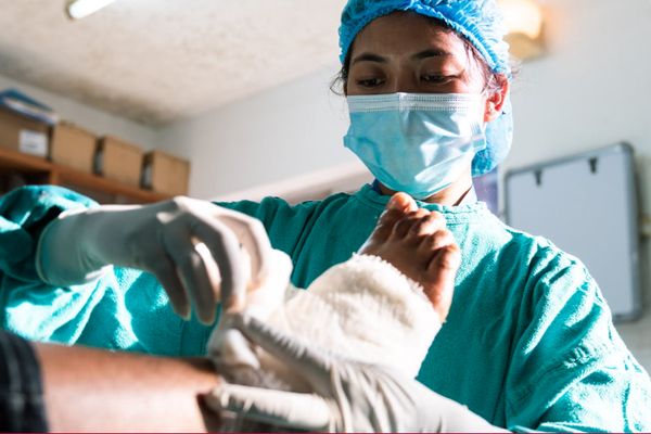 A doctor examining a foot.